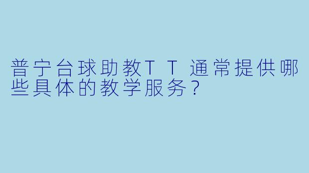 普宁台球助教TT通常提供哪些具体的教学服务?