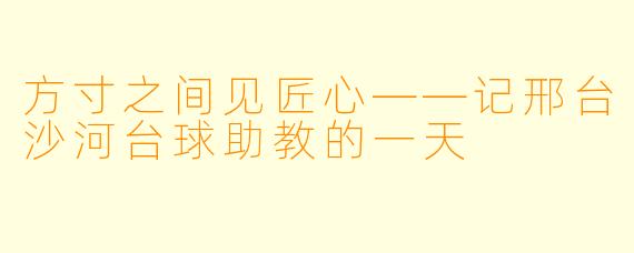 方寸之间见匠心——记邢台沙河台球助教的一天
