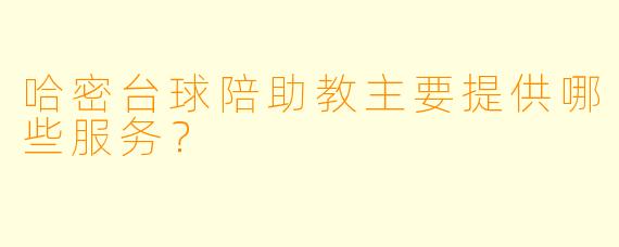 哈密台球陪助教主要提供哪些服务？