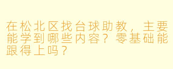 在松北区找台球助教,主要能学到哪些内容?零基础能跟得上吗?