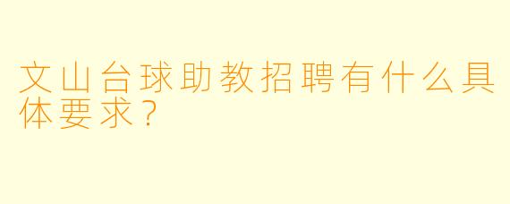 文山台球助教招聘有什么具体要求？