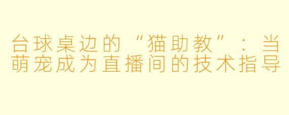 台球桌边的“猫助教”：当萌宠成为直播间的技术指导
