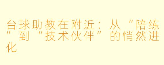 台球助教在附近：从“陪练”到“技术伙伴”的悄然进化