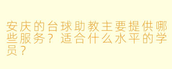 安庆的台球助教主要提供哪些服务？适合什么水平的学员？