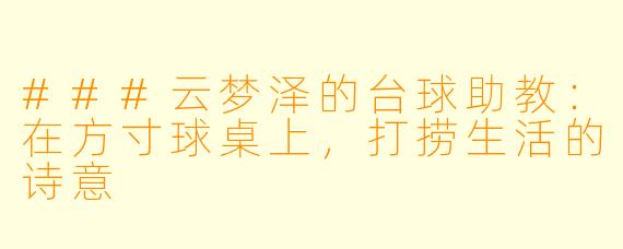 ###云梦泽的台球助教：在方寸球桌上，打捞生活的诗意
