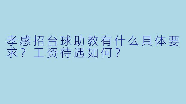 孝感招台球助教有什么具体要求?工资待遇如何?