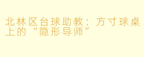 北林区台球助教:方寸球桌上的“隐形导师”