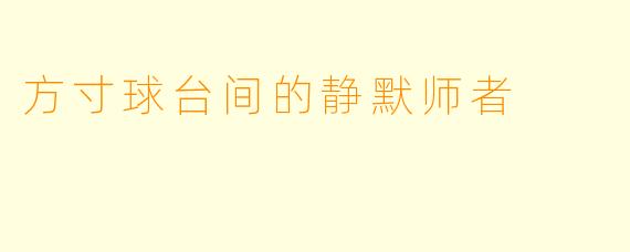 方寸球台间的静默师者