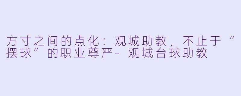 方寸之间的点化：观城助教，不止于“摆球”的职业尊严