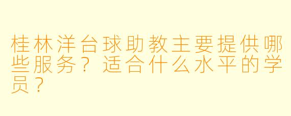 桂林洋台球助教主要提供哪些服务？适合什么水平的学员？