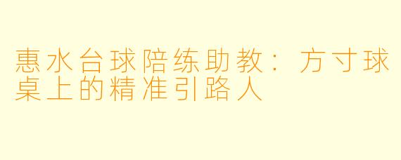 惠水台球陪练助教:方寸球桌上的精准引路人