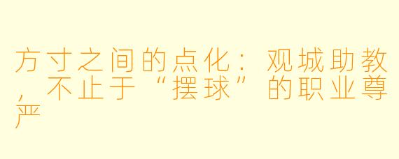 方寸之间的点化：观城助教，不止于“摆球”的职业尊严