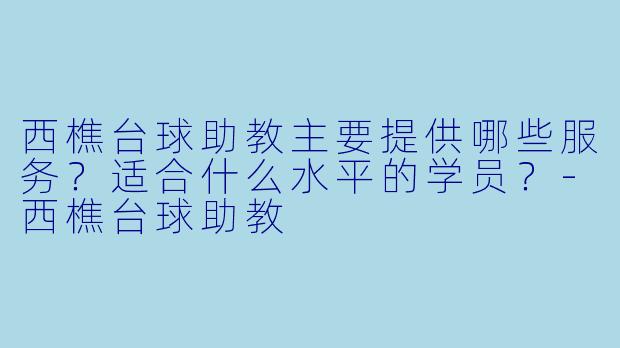 西樵台球助教主要提供哪些服务?适合什么水平的学员?-西樵台球助教