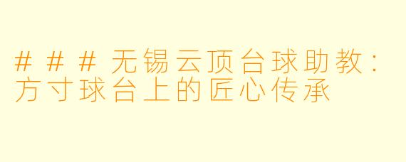 ###无锡云顶台球助教:方寸球台上的匠心传承