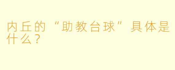 内丘的“助教台球”具体是什么?