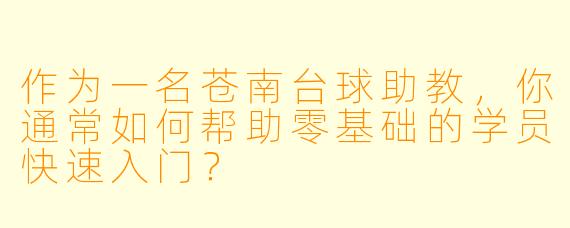作为一名苍南台球助教，你通常如何帮助零基础的学员快速入门？