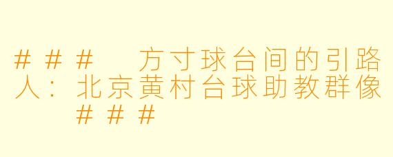 ###
方寸球台间的引路人:北京黄村台球助教群像
###