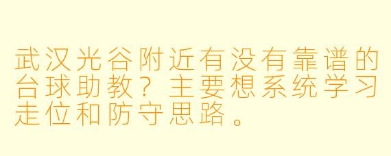 武汉光谷附近有没有靠谱的台球助教？主要想系统学习走位和防守思路。