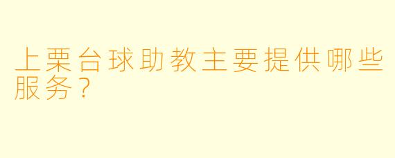 上栗台球助教主要提供哪些服务？