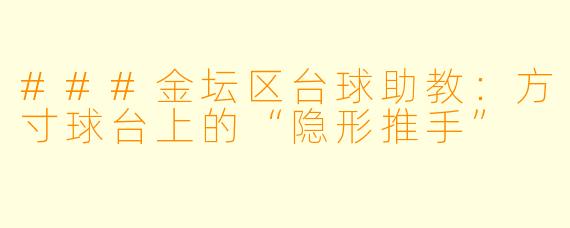 ###金坛区台球助教:方寸球台上的“隐形推手”