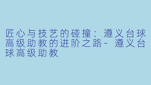 匠心与技艺的碰撞:遵义台球高级助教的进阶之路-遵义台球高级助教