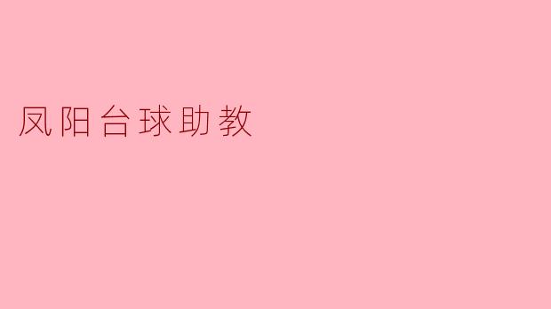 凤阳台球助教的主要工作内容是什么？