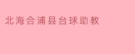 北海合浦县台球助教