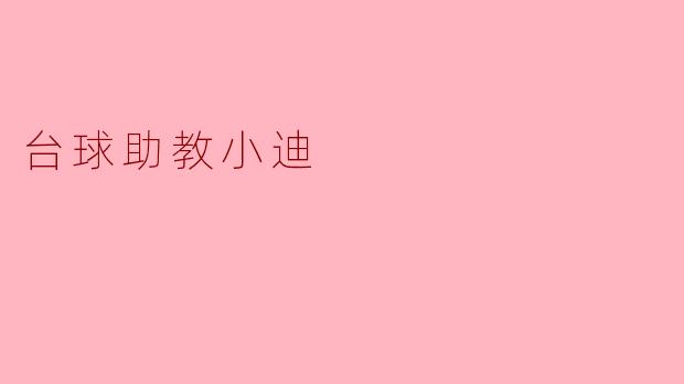 台球助教小迪