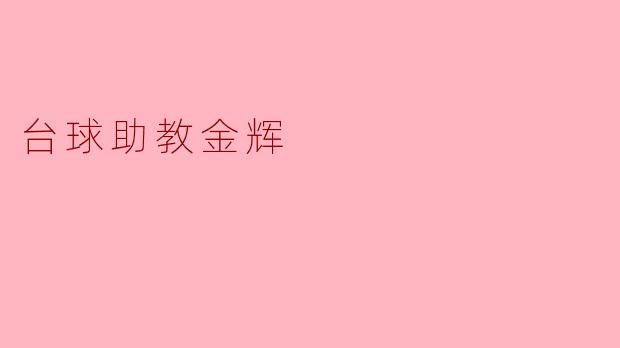 台球助教金辉