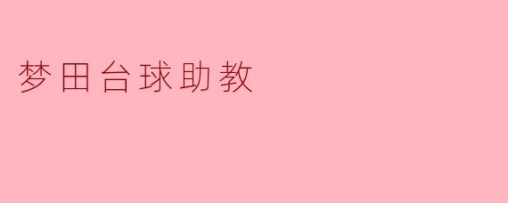 梦田台球助教