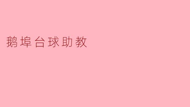 鹅埠台球助教