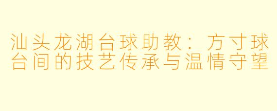 汕头龙湖台球助教:方寸球台间的技艺传承与温情守望