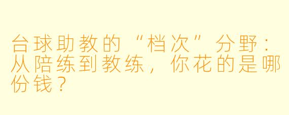 台球助教的“档次”分野：从陪练到教练，你花的是哪份钱？