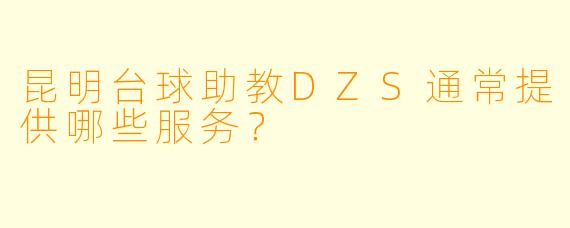昆明台球助教DZS通常提供哪些服务？