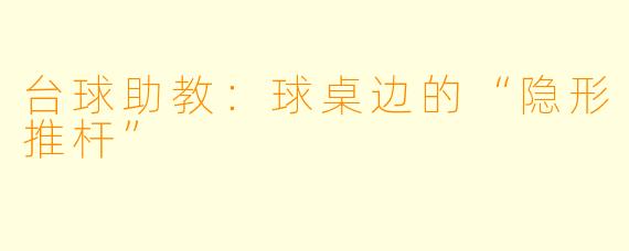 台球助教：球桌边的“隐形推杆”