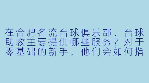 在合肥名流台球俱乐部，台球助教主要提供哪些服务？对于零基础的新手，他们会如何指导入门？
