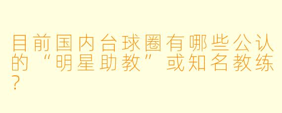 目前国内台球圈有哪些公认的“明星助教”或知名教练？