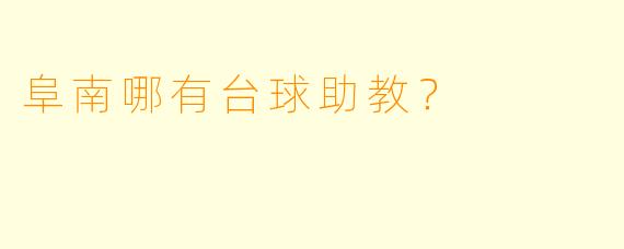 阜南哪有台球助教？