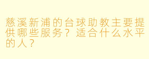 慈溪新浦的台球助教主要提供哪些服务？适合什么水平的人？