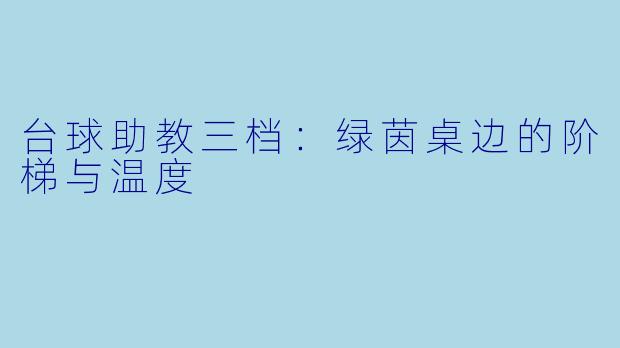台球助教三档：绿茵桌边的阶梯与温度