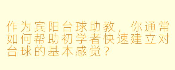 作为宾阳台球助教，你通常如何帮助初学者快速建立对台球的基本感觉？