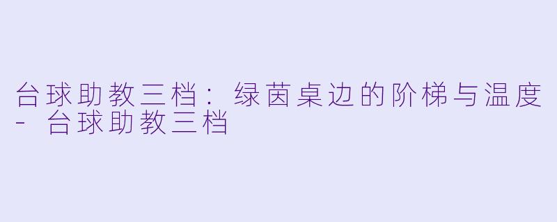 台球助教三档：绿茵桌边的阶梯与温度-台球助教三档
