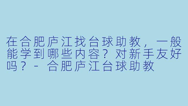 在合肥庐江找台球助教，一般能学到哪些内容？对新手友好吗？