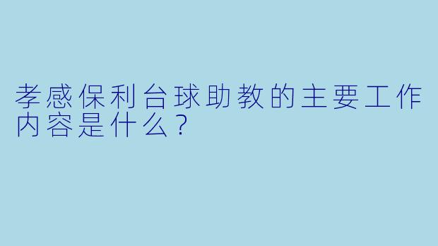 孝感保利台球助教的主要工作内容是什么？