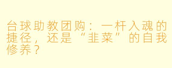 台球助教团购：一杆入魂的捷径，还是“韭菜”的自我修养？