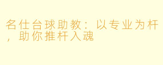 名仕台球助教:以专业为杆,助你推杆入魂