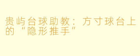 贵屿台球助教：方寸球台上的“隐形推手”