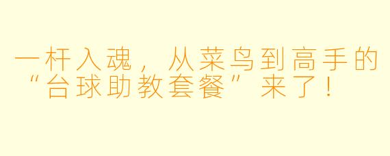 一杆入魂，从菜鸟到高手的“台球助教套餐”来了！