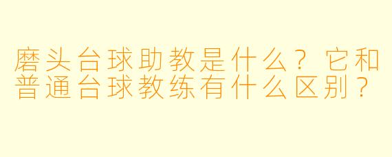 磨头台球助教是什么？它和普通台球教练有什么区别？