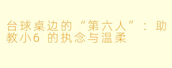台球桌边的“第六人”：助教小6的执念与温柔